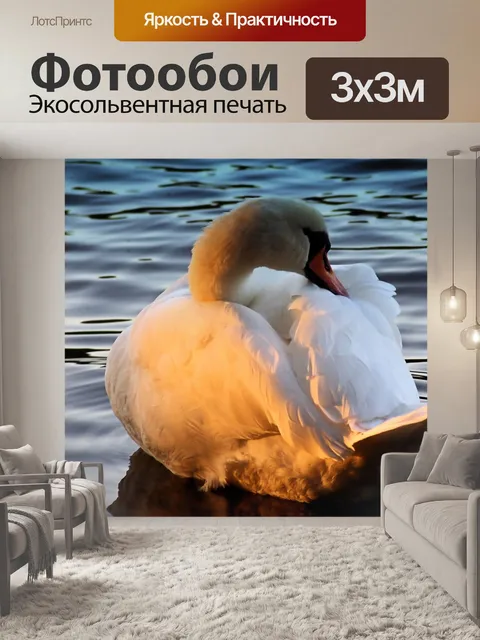 Фотообои Лебедь