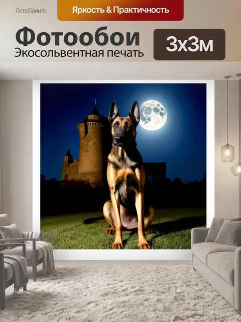 Фотообои фотография бельгийской овчарки малинуа, позирующей на фоне старинного замка при луне