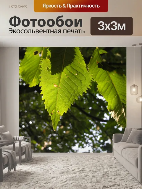 Фотообои Зеленые листья