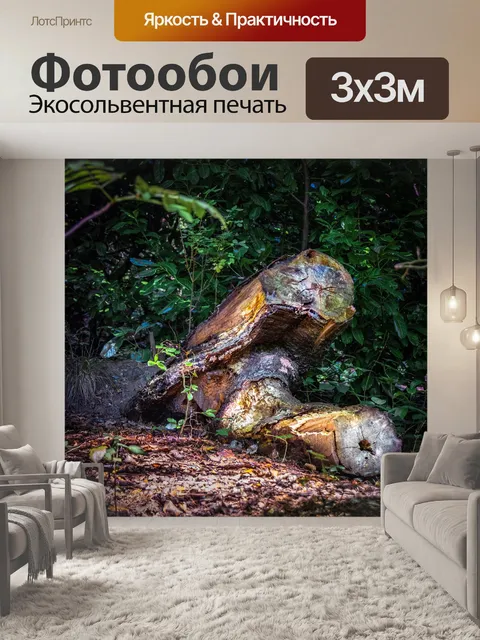 Фотообои Пень