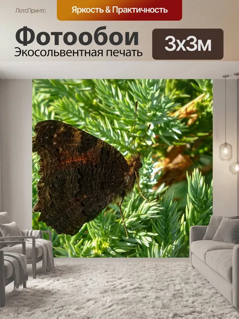 Фотообои Садовая бабочка