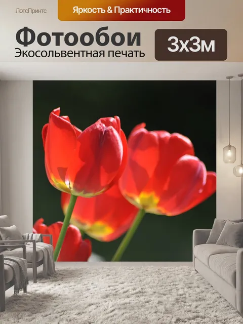 Фотообои Мак