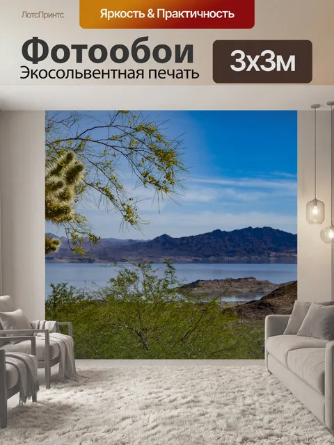 Фотообои Береговая линия Вид на озеро Мид