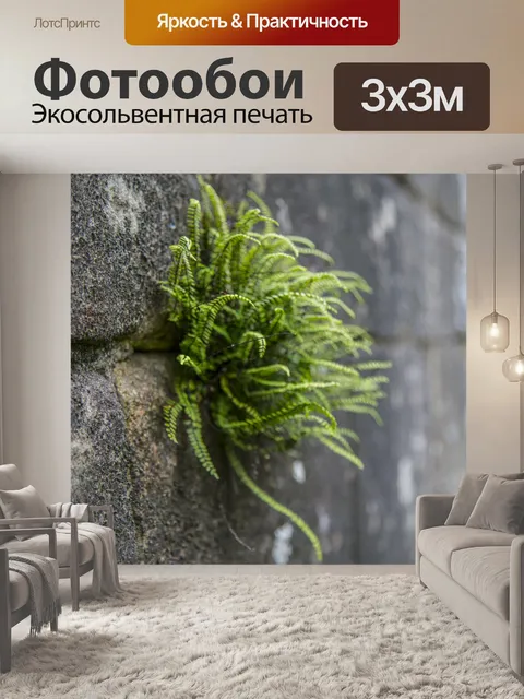 Фотообои папоротник