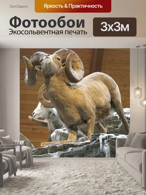 Фотообои Снежный баран