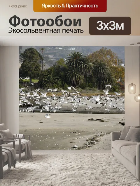Фотообои Полет Чайки