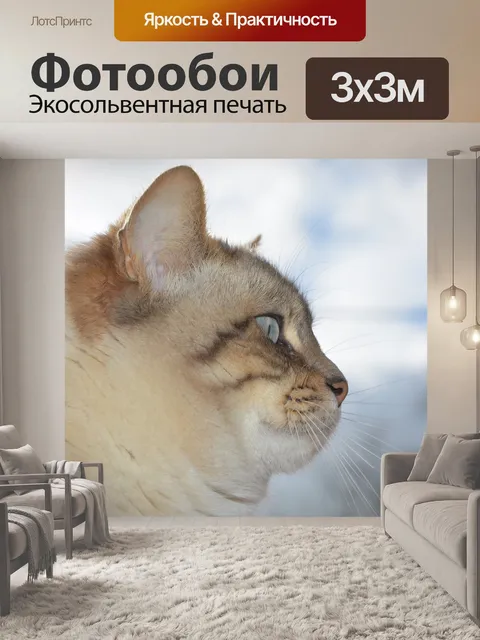 Фотообои Кошка