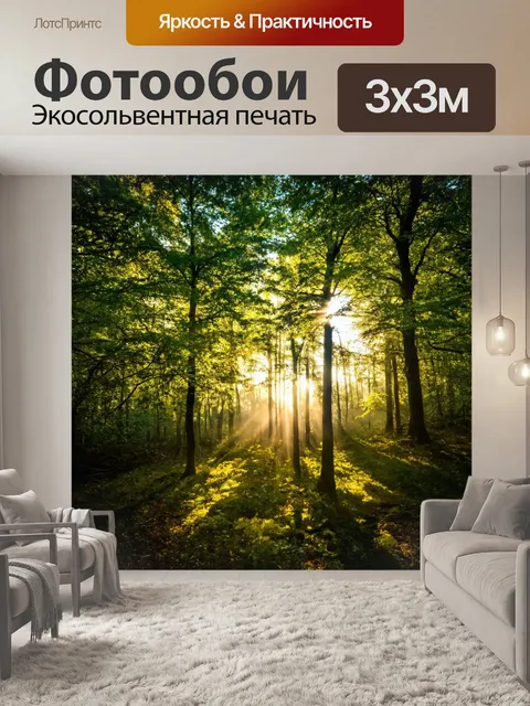 Фотообои свет в лесу, пробивающийся сквозь листву, создающий игру теней и света