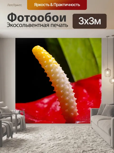 Фотообои Цветок