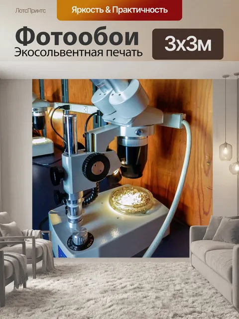 Фотообои Микроскоп