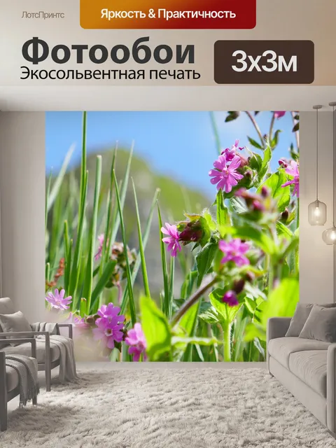 Фотообои Гора