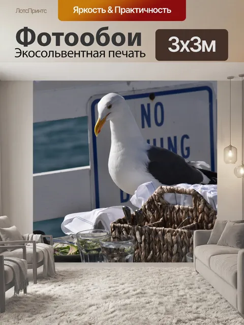 Фотообои Чайка для обеда