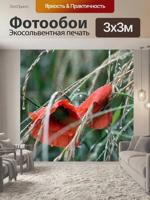 Фотообои Мак