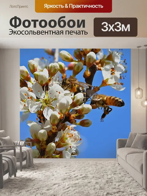 Фотообои Пчелы