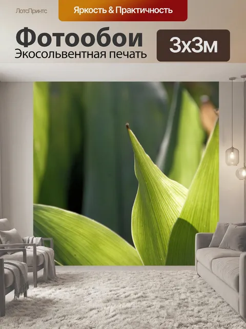 Фотообои Фон из зеленых листьев
