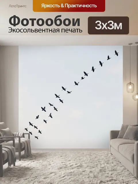 Фотообои Стая птиц в небе по диагонали