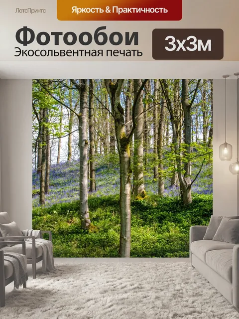 Фотообои Лес