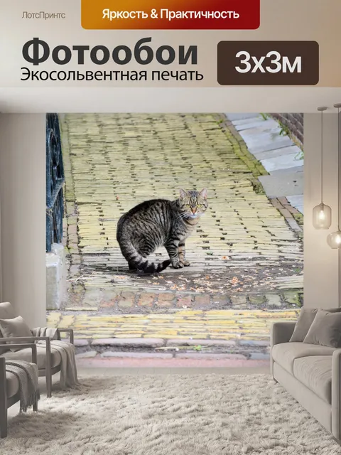 Фотообои Кошки 9