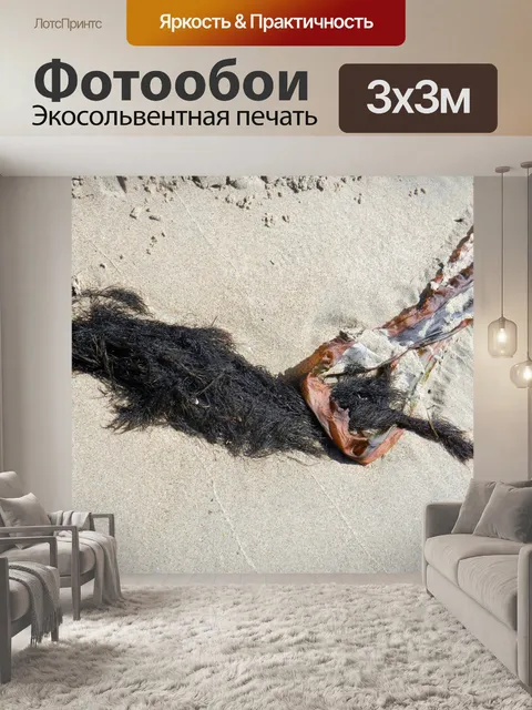 Фотообои Воскресенье на пляже 2019 13
