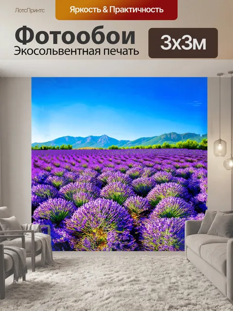 Фотообои поля лаванды, обрамлённые горными хребтами, кажутся ареной для изысканной симфонии цветов