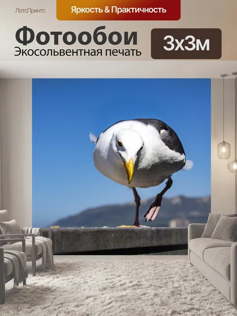 Фотообои чайка