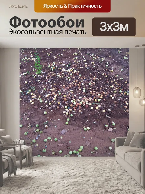Фотообои спелые плоды марулы на земле
