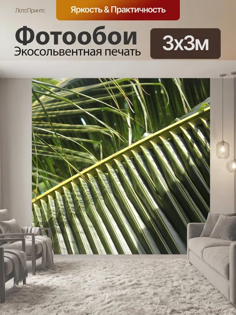 Фотообои Пальма
