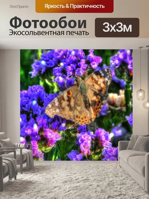 Фотообои бабочка