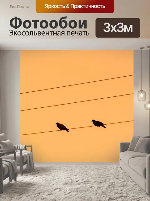 Фотообои Птицы