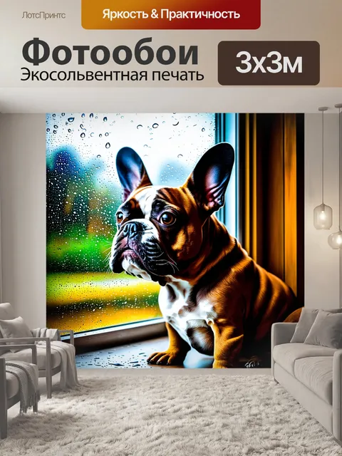 Фотообои изображение французского бульдога, смотрящего в окно дождливого дня, капли воды стекают по стеклу