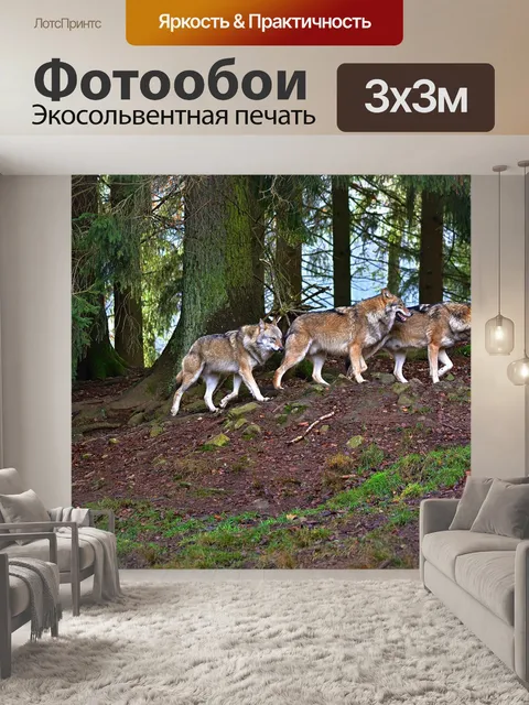 Фотообои Лес