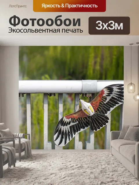 Фотообои Летающий змей