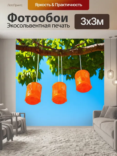 Фотообои оранжевый цвет: оранжевые ловушки для ловли бабочек, висящие на деревьях, создают сказочное ощущение
