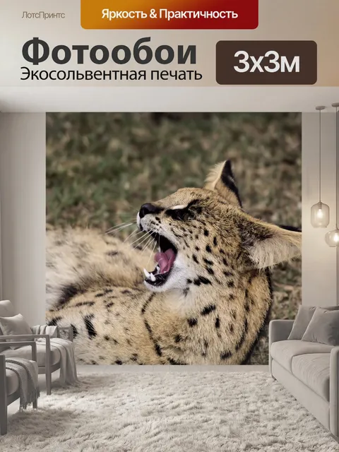 Фотообои Дикая кошка
