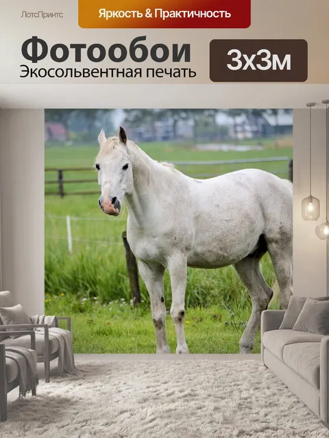 Фотообои Белый конь