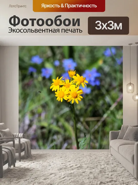 Фотообои Прейри Рагворт Полевые цветы 2