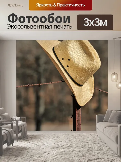 Фотообои Ковбойская шляпа на колючей проволоке 2