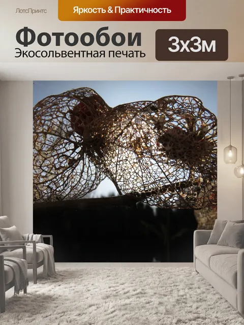 Фотообои Физалис