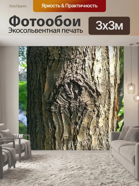 Фотообои Текстура коры дерева