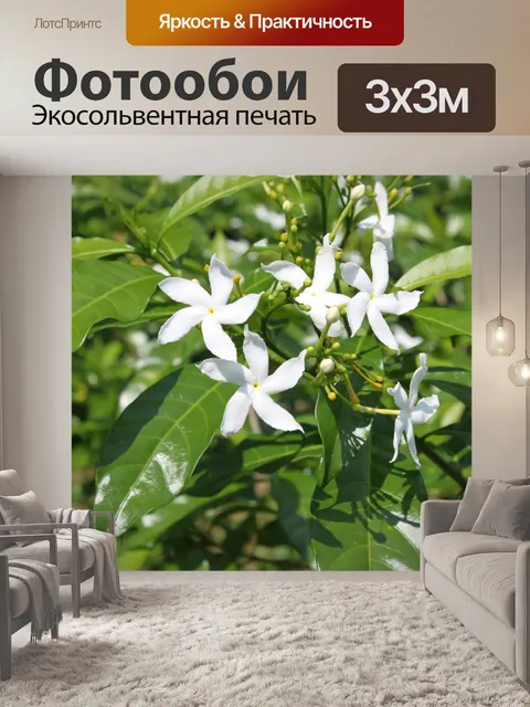 Фотообои Золотой и серебряный цветок