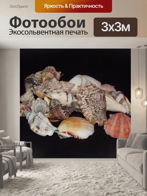 Фотообои Ассортимент морских раковин