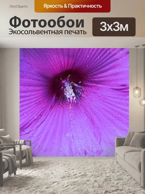 Фотообои Фиолетовый Гибискус