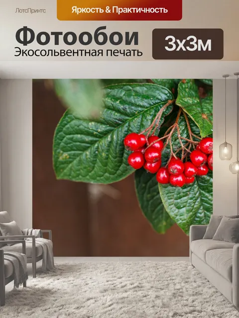 Фотообои красные ягоды