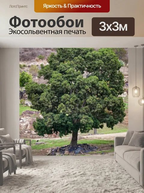 Фотообои Деревенский пейзаж