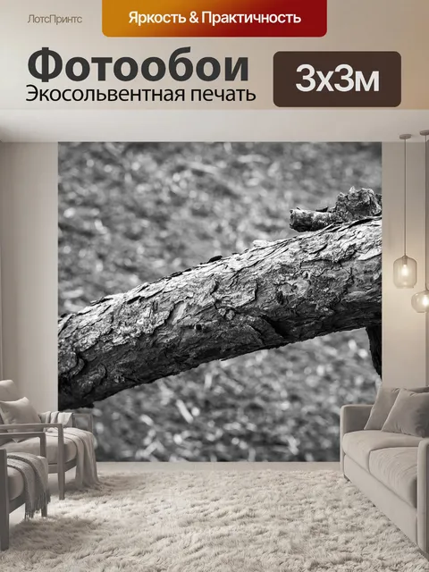 Фотообои Ветвь