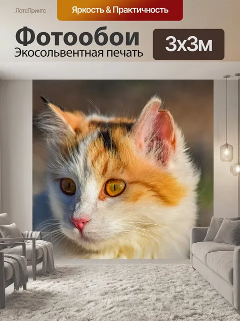 Фотообои Кошка