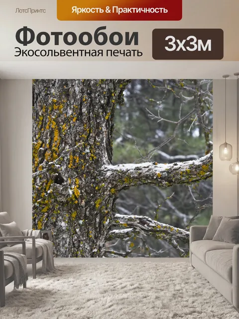 Фотообои Оранжевый Мосс, Белый снег