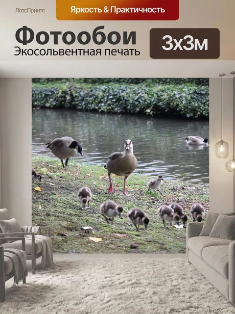 Фотообои Гуси