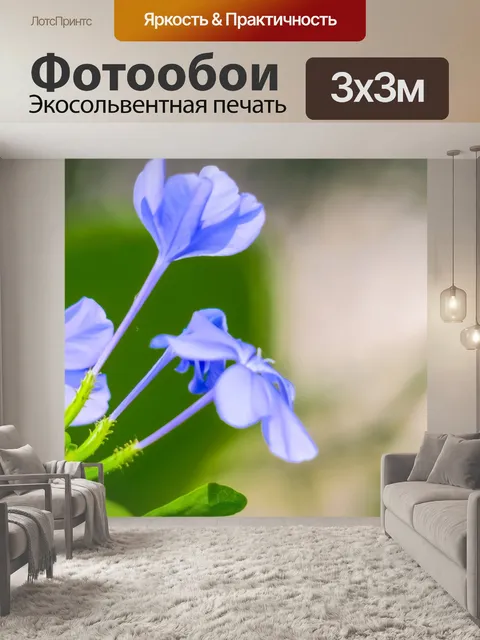 Фотообои Голубой цветок дэн