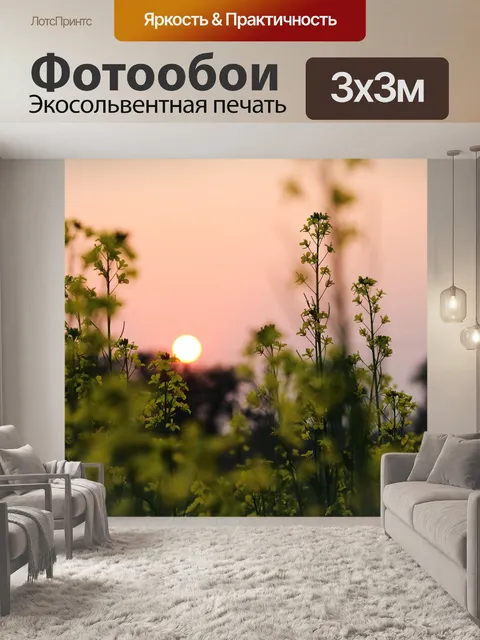 Фотообои Закат фон